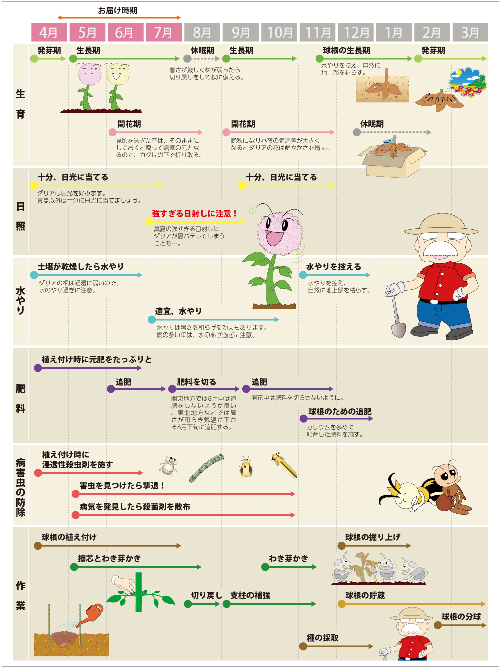 ダリアの上手な育て方 Agsfan 花と広がるコミュニケーション